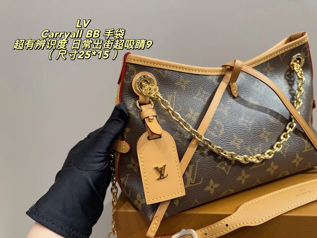 Louis Vuitton Canvas Hobo Bag in Brown · view 5