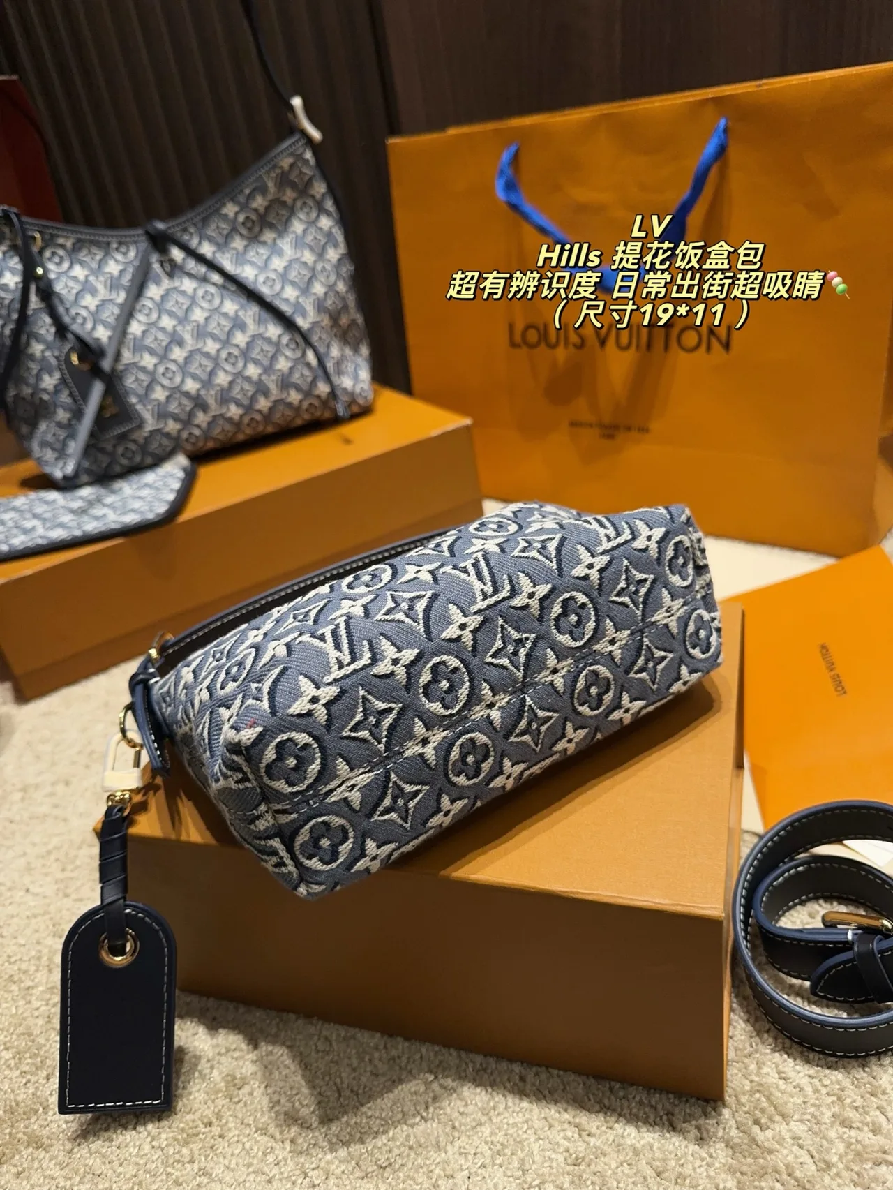 Louis Vuitton Monogram Hills Shoulder Bag in Blue · view 7