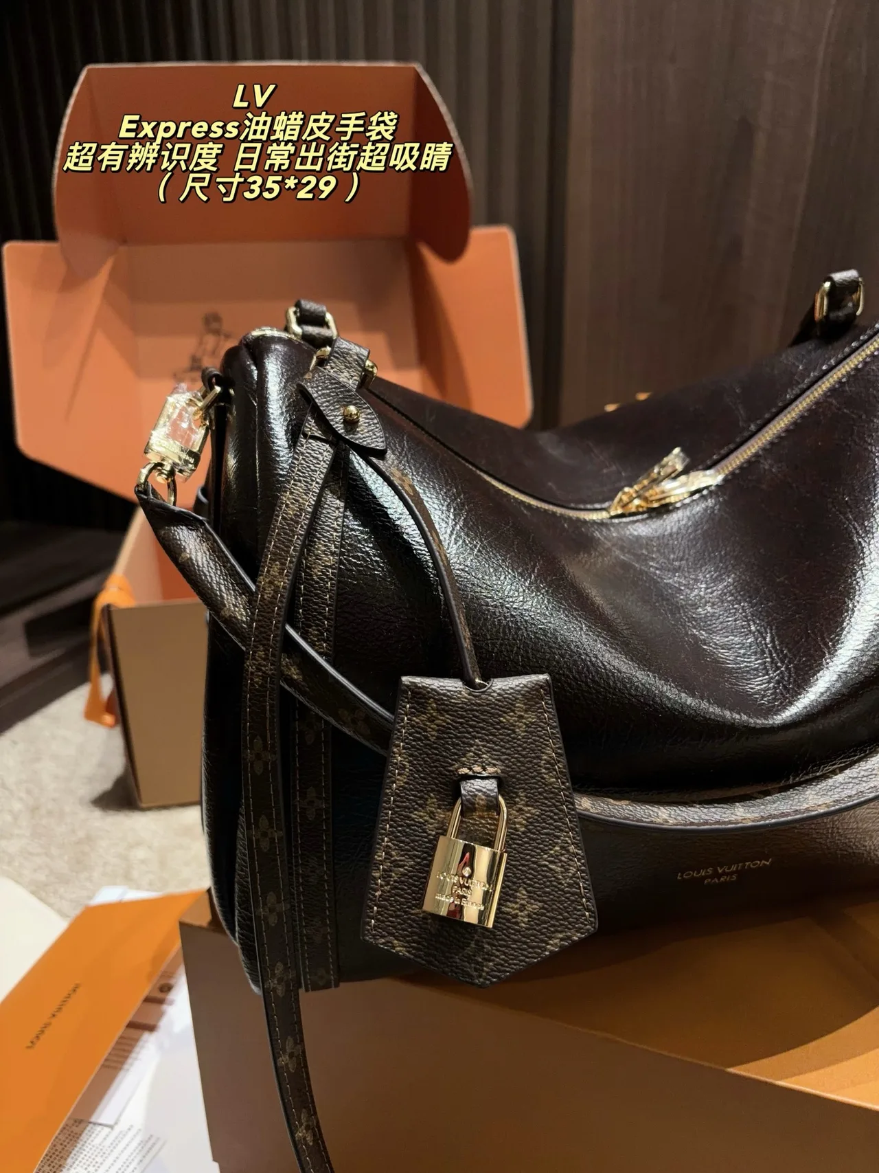 Louis Vuitton Hobo Bag in Black · view 2