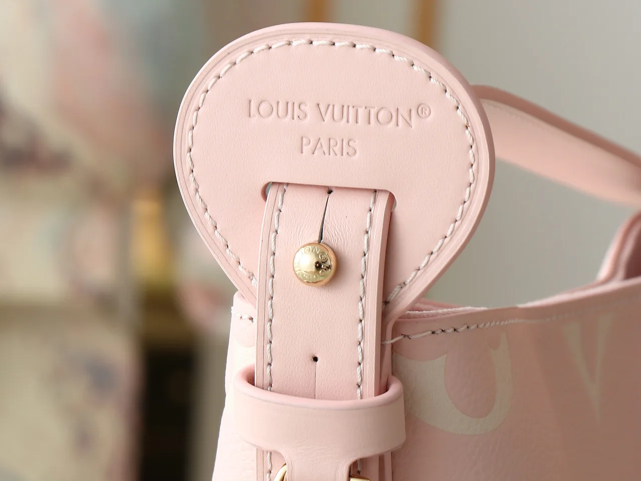 Louis Vuitton Canvas Bucket Bag with Pouch in Pink · view 5