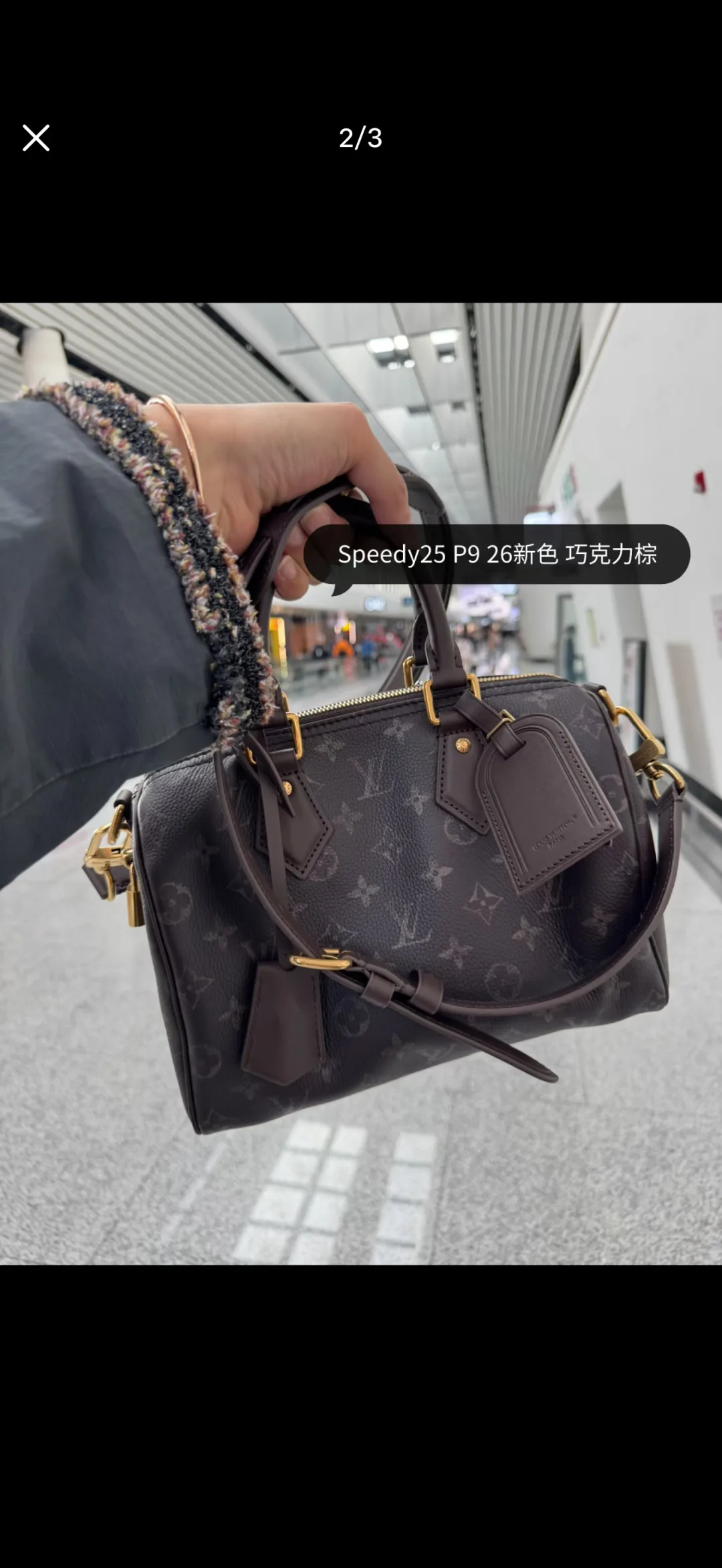 Louis Vuitton Speedy 25 Top-Handle Bag in Brown · view 1