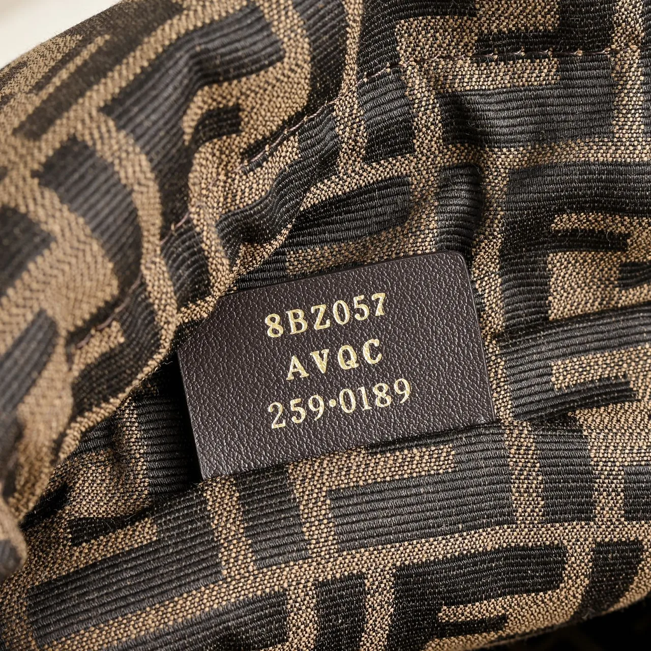 Fendi Woven Backpack in Brown · view 7